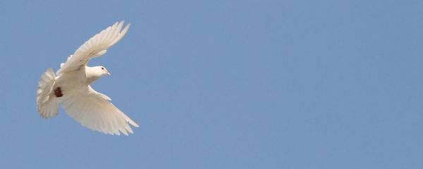 ТРІЙЦЯ – СТОВП ФУНДАМЕНТАЛЬНОГО ХРИСТИЯНСТВА