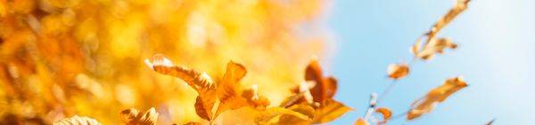 ВСІ новини нового сезону!